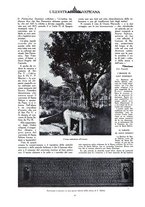 giornale/CFI0356069/1931/unico/00000152