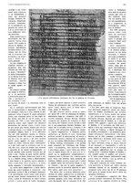 giornale/CFI0356069/1934/v.2/00000421