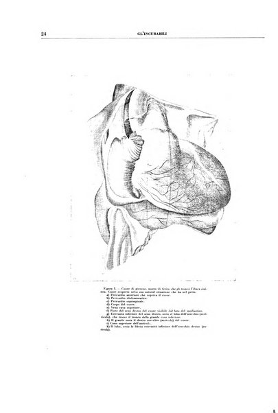 Gli incurabili periodico mensile di medicina, chirurgia, specialità, igiene e vita ospedaliera