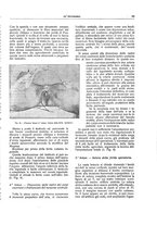 giornale/CFI0356210/1933/unico/00000057