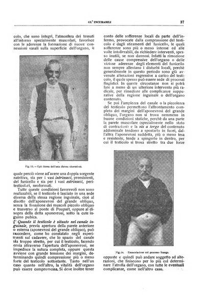 Gli incurabili periodico mensile di medicina, chirurgia, specialità, igiene e vita ospedaliera