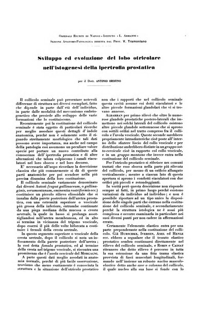 Gli incurabili periodico mensile di medicina, chirurgia, specialità, igiene e vita ospedaliera