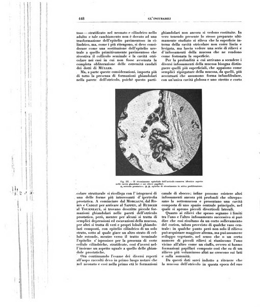 Gli incurabili periodico mensile di medicina, chirurgia, specialità, igiene e vita ospedaliera