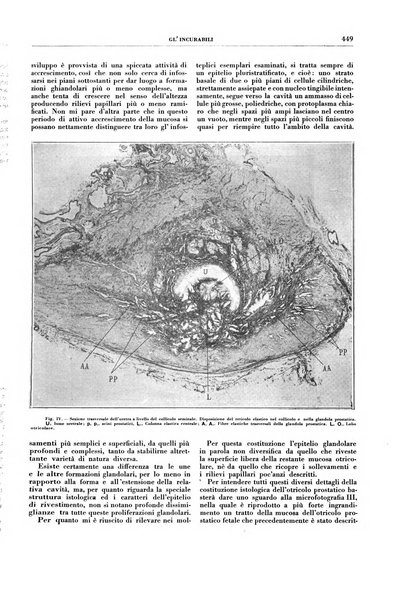 Gli incurabili periodico mensile di medicina, chirurgia, specialità, igiene e vita ospedaliera