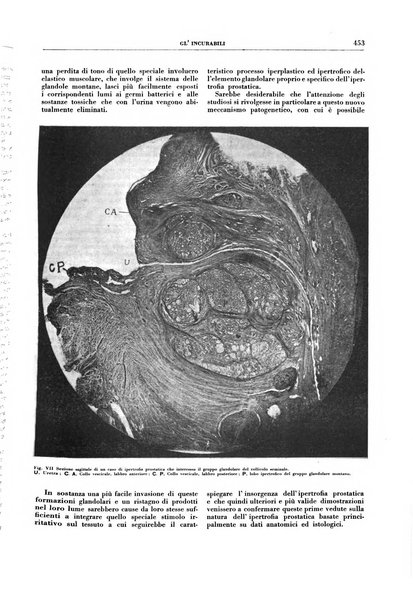 Gli incurabili periodico mensile di medicina, chirurgia, specialità, igiene e vita ospedaliera