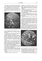 giornale/CFI0356210/1934/unico/00000187