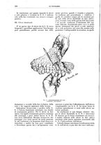 giornale/CFI0356210/1934/unico/00000292