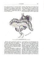giornale/CFI0356210/1934/unico/00000297