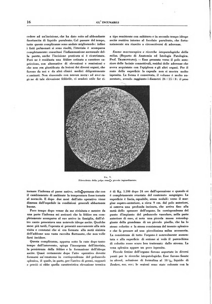 Gli incurabili periodico mensile di medicina, chirurgia, specialità, igiene e vita ospedaliera