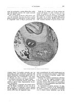 giornale/CFI0356210/1936/unico/00000323