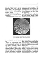 giornale/CFI0356210/1937/unico/00000019