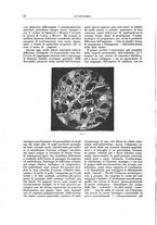 giornale/CFI0356210/1937/unico/00000038