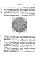 giornale/CFI0356210/1939/unico/00000019