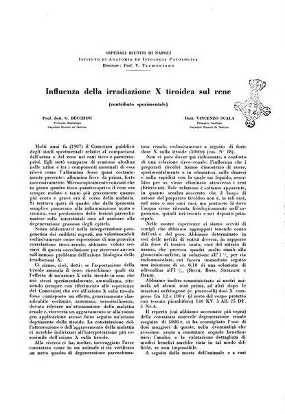 Gli incurabili periodico mensile di medicina, chirurgia, specialità, igiene e vita ospedaliera