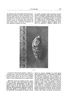 giornale/CFI0356210/1939/unico/00000193