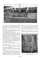 giornale/CFI0356395/1932/unico/00000213