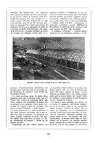 giornale/CFI0356395/1935/unico/00000195