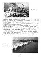 giornale/CFI0356395/1936/unico/00000308