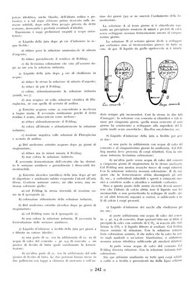 L'industria italiana del cemento rivista della Società incremento applicazioni cemento