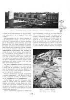 giornale/CFI0356395/1938/unico/00000045