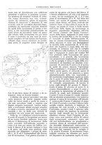 giornale/CFI0356400/1920/unico/00000179