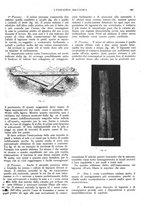 giornale/CFI0356400/1924/unico/00000395