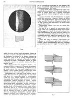 giornale/CFI0356400/1927/unico/00000892