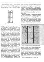 giornale/CFI0356400/1928/unico/00000189