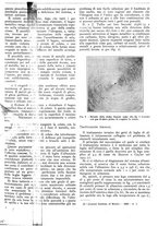 giornale/CFI0356400/1928/unico/00000349