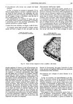 giornale/CFI0356400/1929/unico/00000327