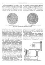 giornale/CFI0356400/1929/unico/00000498