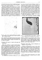 giornale/CFI0356400/1930/unico/00000549