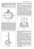 giornale/CFI0356400/1936/unico/00000021