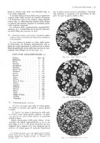 giornale/CFI0356400/1938/unico/00000033