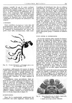 giornale/CFI0356400/1939/unico/00000115