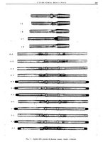 giornale/CFI0356400/1939/unico/00000315