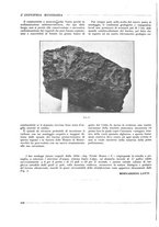 giornale/CFI0356401/1929/unico/00000254