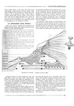 giornale/CFI0356401/1931/unico/00000193