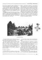 giornale/CFI0356401/1931/unico/00000507