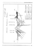 giornale/CFI0356401/1931/unico/00000513