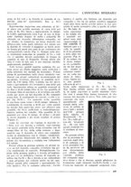 giornale/CFI0356401/1933/unico/00000471