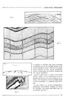 giornale/CFI0356401/1933/unico/00000517