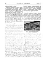 giornale/CFI0356401/1935/unico/00000504