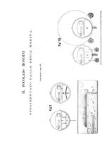 giornale/CFI0356408/1891/unico/00000494