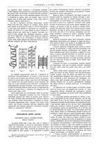 giornale/CFI0356408/1895/unico/00000441