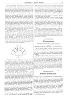 giornale/CFI0356408/1899/unico/00000039