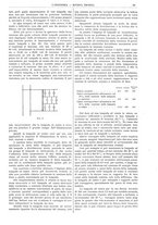 giornale/CFI0356408/1903/unico/00000065