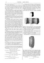 giornale/CFI0356408/1903/unico/00000080