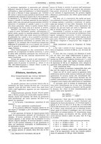 giornale/CFI0356408/1903/unico/00000419