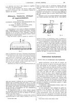 giornale/CFI0356408/1903/unico/00000467